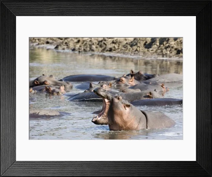Framed Print : DDE-90022354 Framed Print : DDE-90022354
