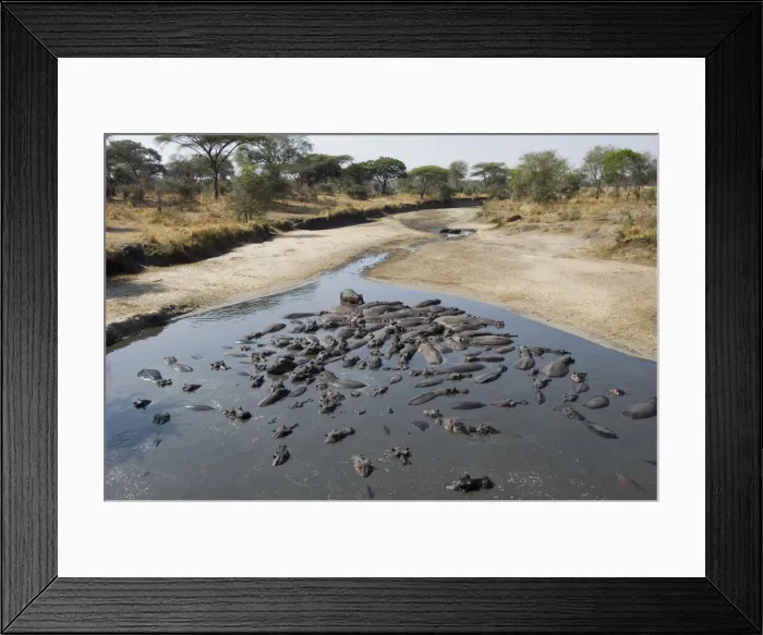 Framed Print : DDE-90022359 Framed Print : DDE-90022359
