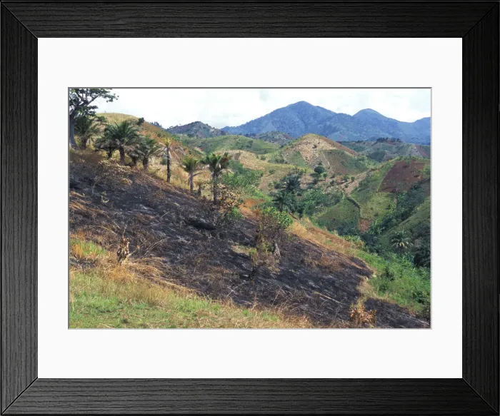 Framed Print : DDE-90022380 Framed Print : DDE-90022380