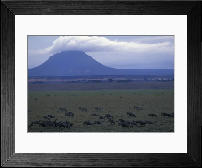 Framed Print : DDE-90022400 Framed Print : DDE-90022400