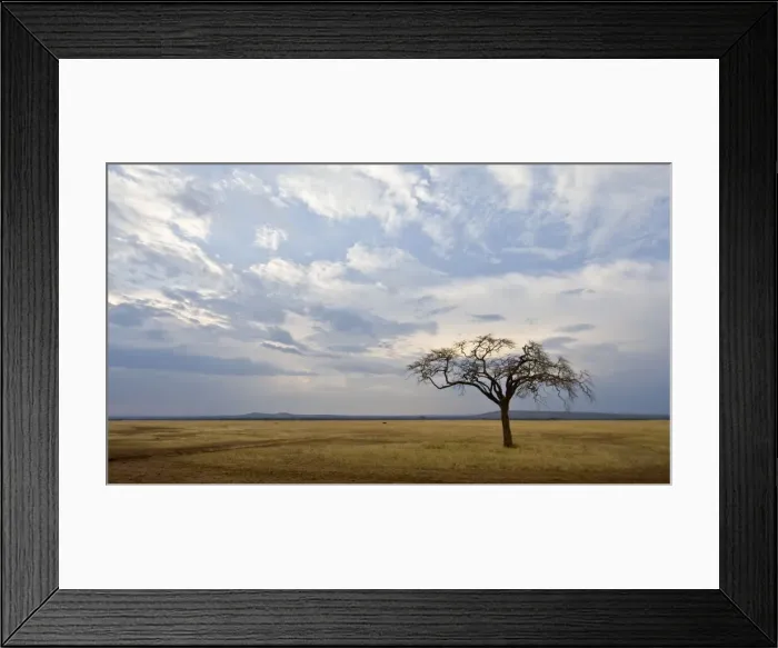 Framed Print : DDE-90022408 Framed Print : DDE-90022408