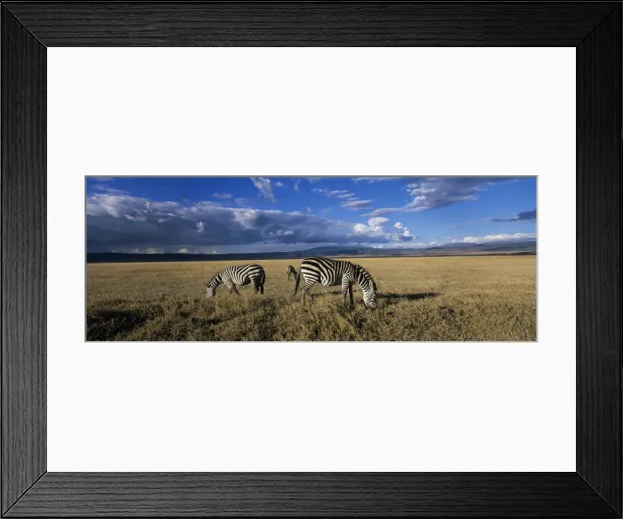 Framed Print : DDE-90022404 Framed Print : DDE-90022404