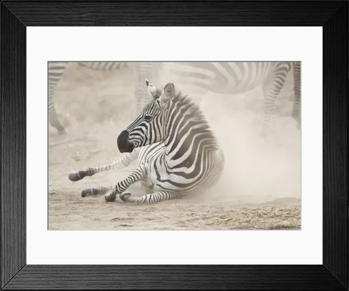 Framed Print : DDE-90022417