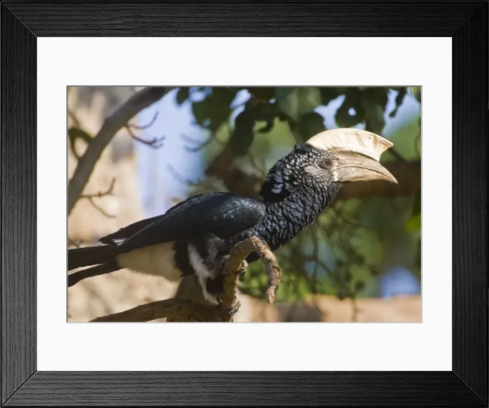 Framed Print : DDE-90022422 Framed Print : DDE-90022422