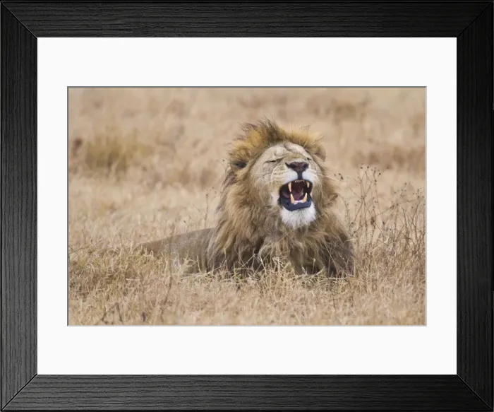 Framed Print : DDE-90022430 Framed Print : DDE-90022430