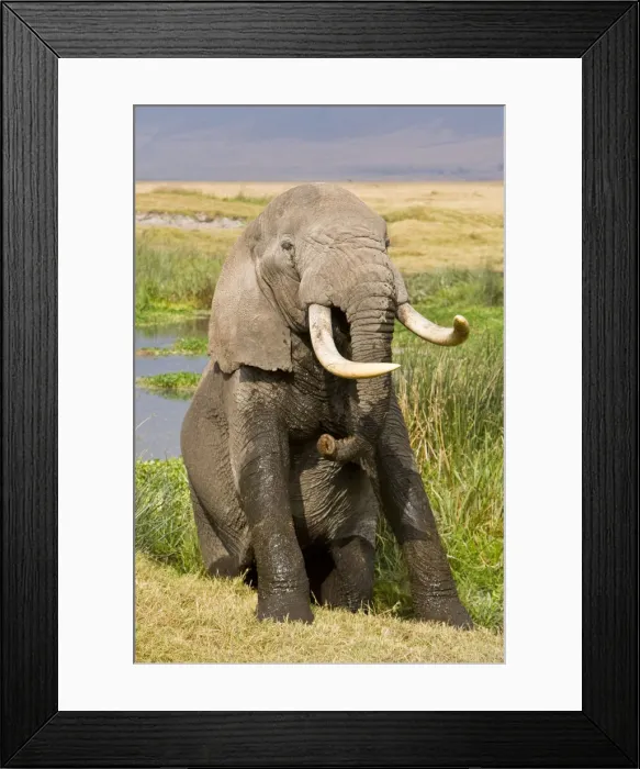 Framed Print : DDE-90022433 Framed Print : DDE-90022433