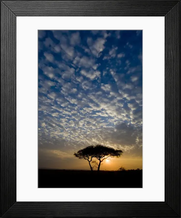 Framed Print : DDE-90022464 Framed Print : DDE-90022464