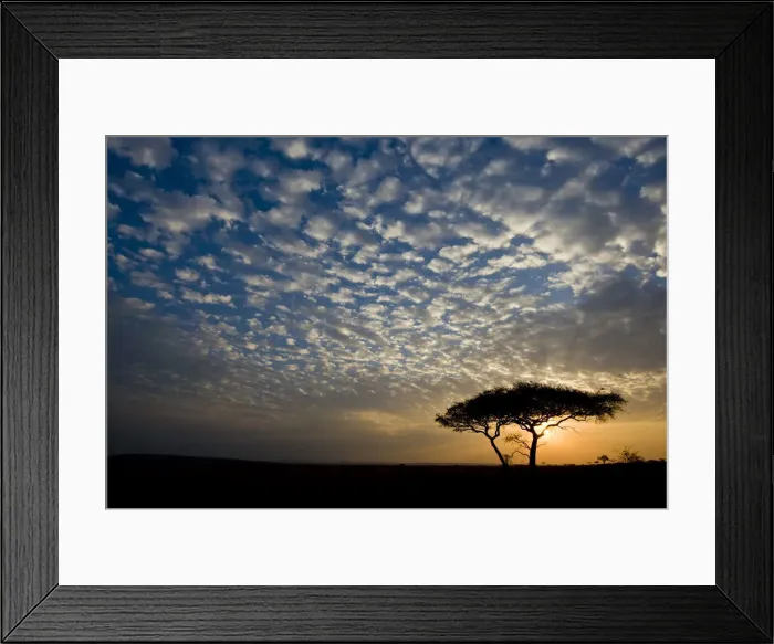 Framed Print : DDE-90022465 Framed Print : DDE-90022465