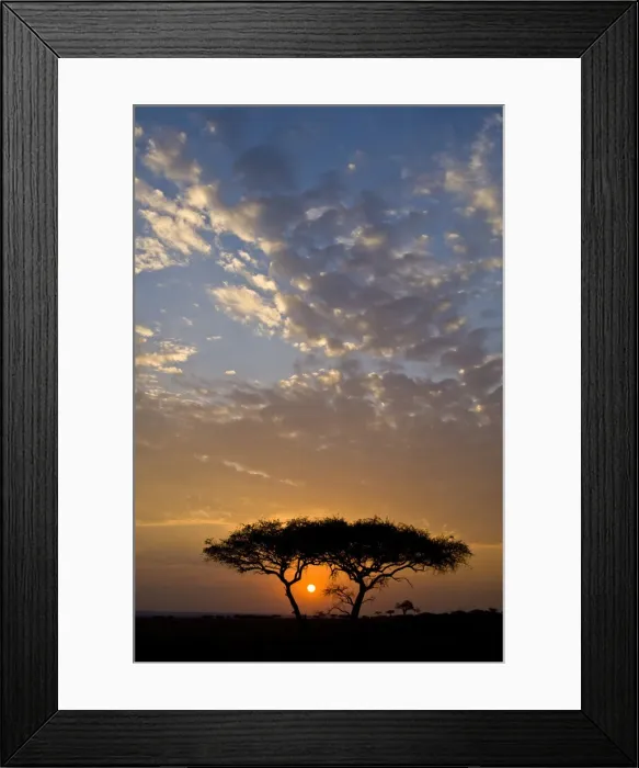 Framed Print : DDE-90022463 Framed Print : DDE-90022463