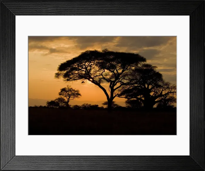 Framed Print : DDE-90022558 Framed Print : DDE-90022558
