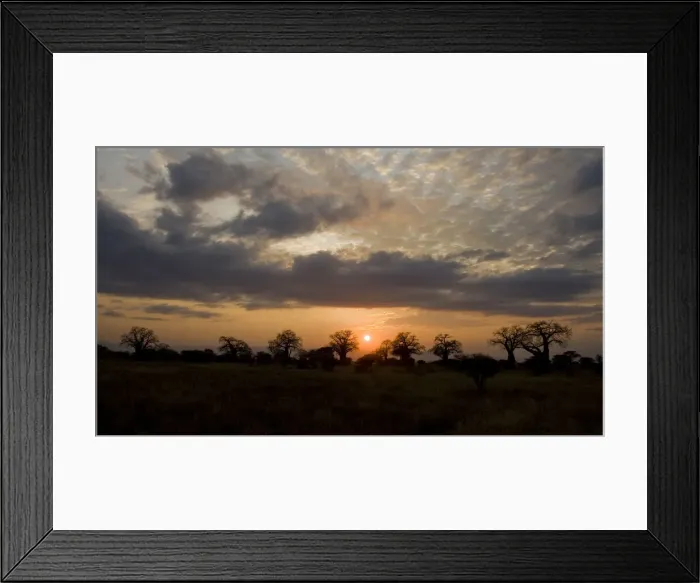 Framed Print : DDE-90022559