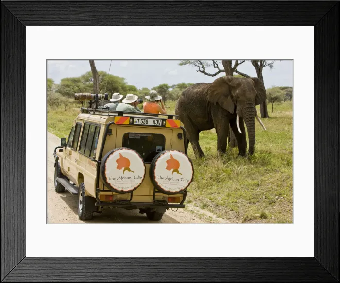 Framed Print : DDE-90022594