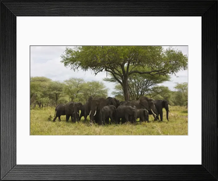 Framed Print : DDE-90022593