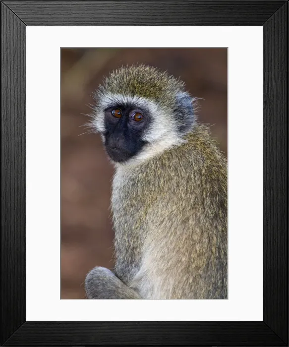 Framed Print : DDE-90022601