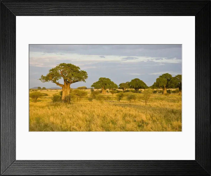 Framed Print : DDE-90022630
