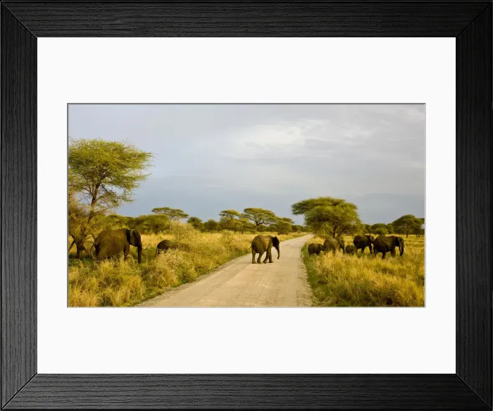 Framed Print : DDE-90022629 Framed Print : DDE-90022629