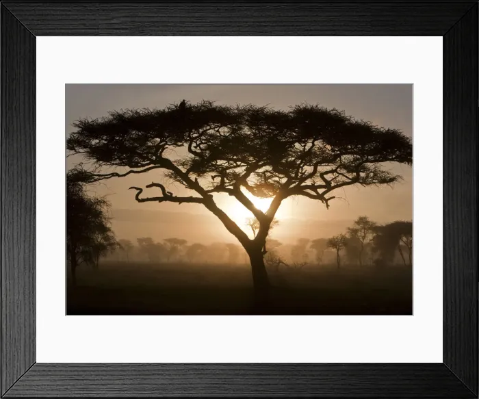 Framed Print : DDE-90022656 Framed Print : DDE-90022656