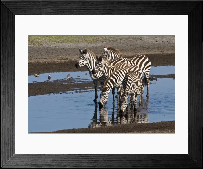 Framed Print : DDE-90022668