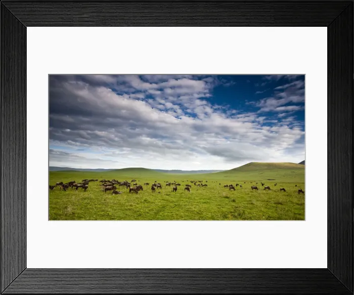 Framed Print : DDE-90022751 Framed Print : DDE-90022751