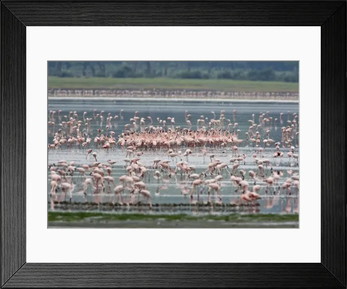 Framed Print : DDE-90022758 Framed Print : DDE-90022758
