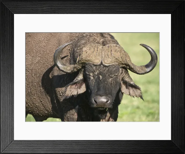 Framed Print : DDE-90022783 Framed Print : DDE-90022783