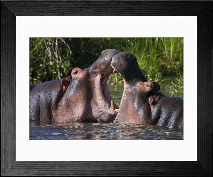 Framed Print : DDE-90022797