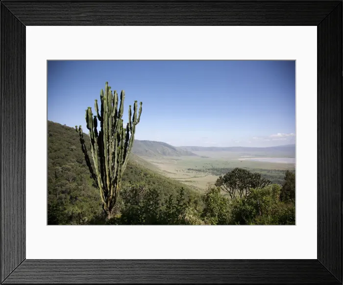 Framed Print : DDE-90022799 Framed Print : DDE-90022799