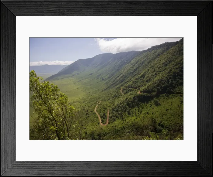 Framed Print : DDE-90022798 Framed Print : DDE-90022798