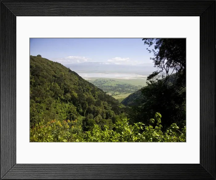Framed Print : DDE-90022800 Framed Print : DDE-90022800