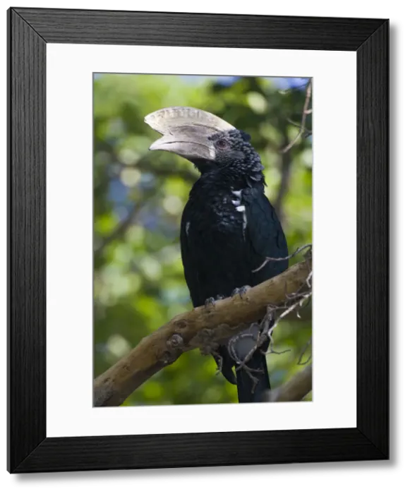 Framed Print : DDE-90022815