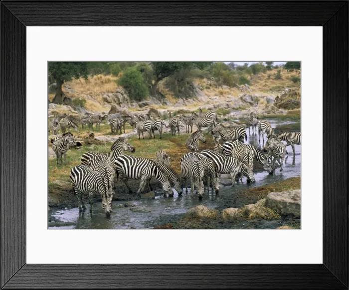 Framed Print : DDE-90022822 Framed Print : DDE-90022822