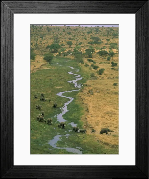 Framed Print : DDE-90022826
