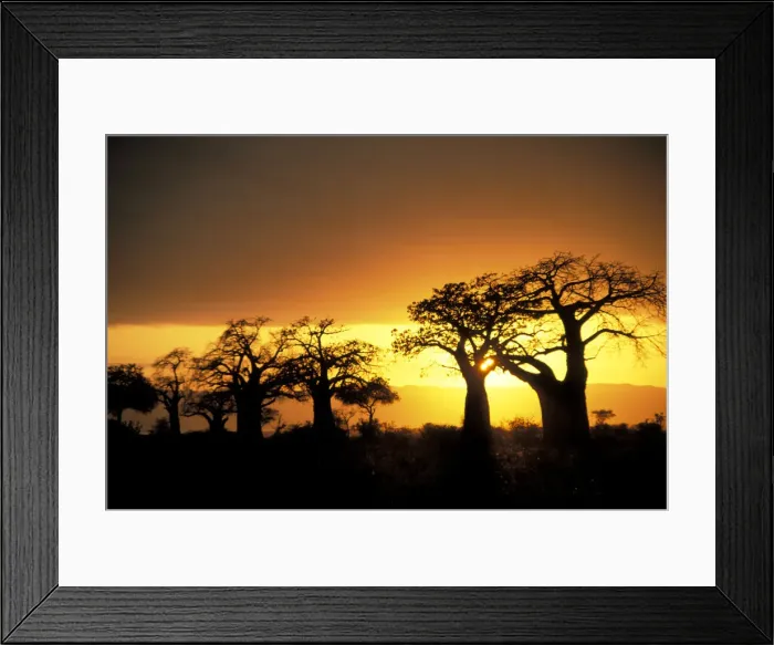 Framed Print : DDE-90022829 Framed Print : DDE-90022829