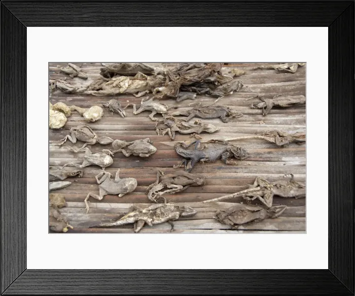 Framed Print : DDE-90022833 Framed Print : DDE-90022833