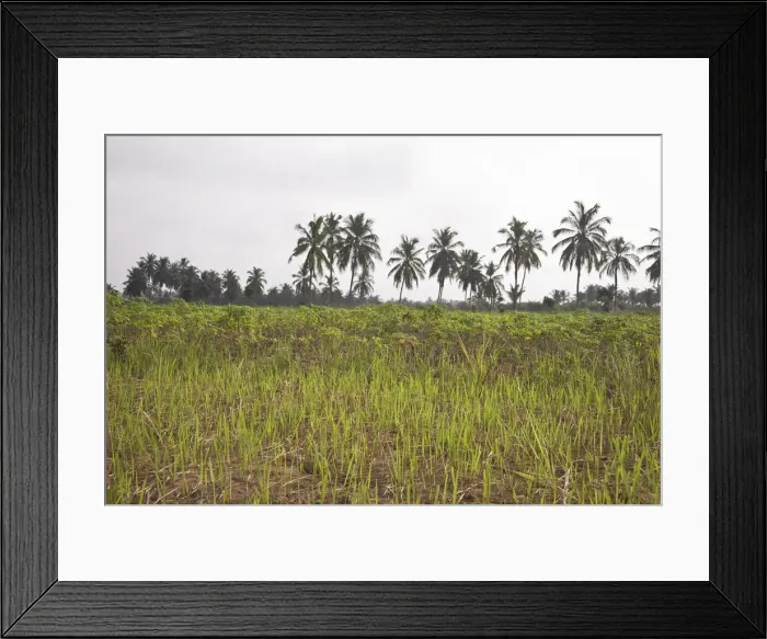 Framed Print : DDE-90022832 Framed Print : DDE-90022832