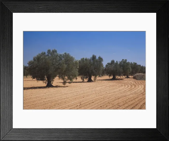Framed Print : DDE-90022836 Framed Print : DDE-90022836