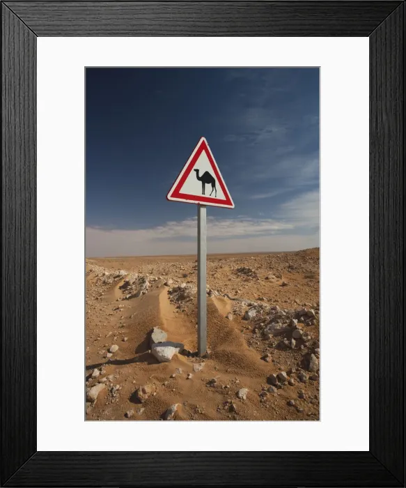 Framed Print : DDE-90022838 Framed Print : DDE-90022838