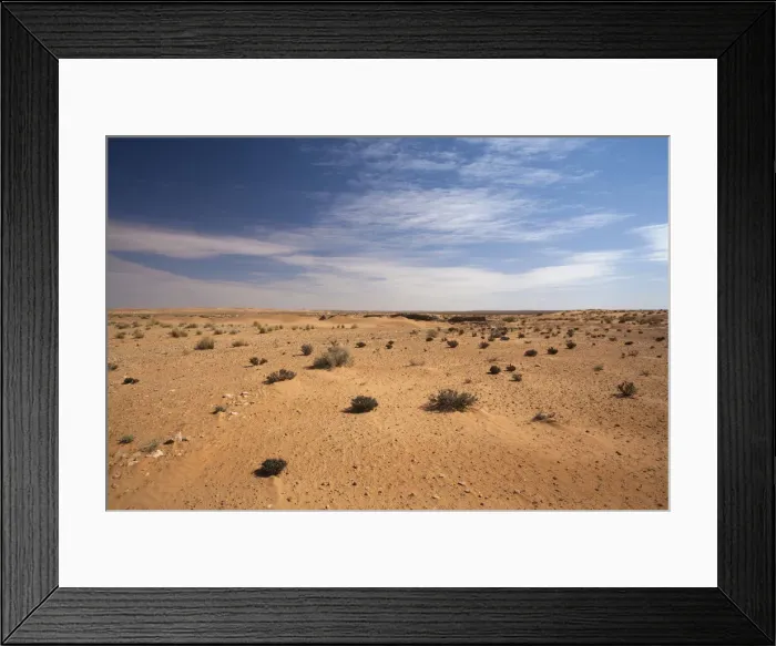 Framed Print : DDE-90022839 Framed Print : DDE-90022839
