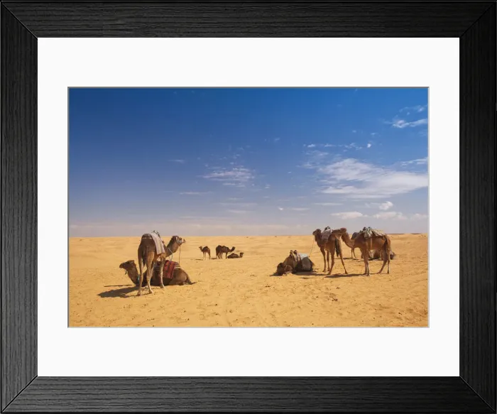 Framed Print : DDE-90022841 Framed Print : DDE-90022841