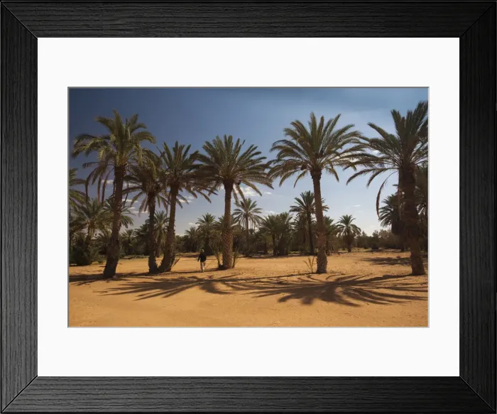 Framed Print : DDE-90022844