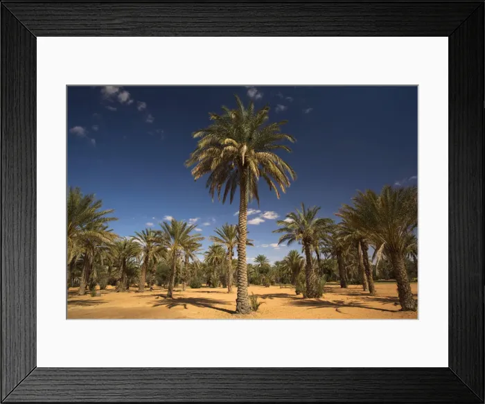 Framed Print : DDE-90022845 Framed Print : DDE-90022845