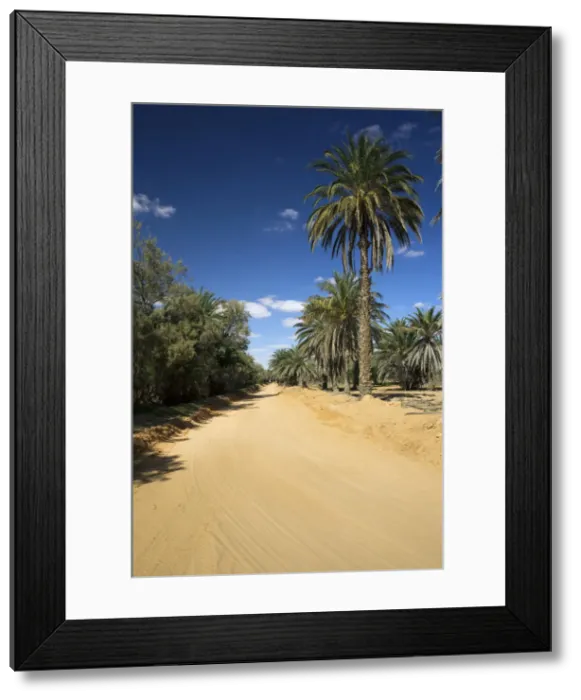 Framed Print : DDE-90022846 Framed Print : DDE-90022846