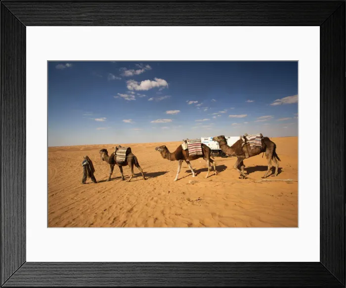 Framed Print : DDE-90022848