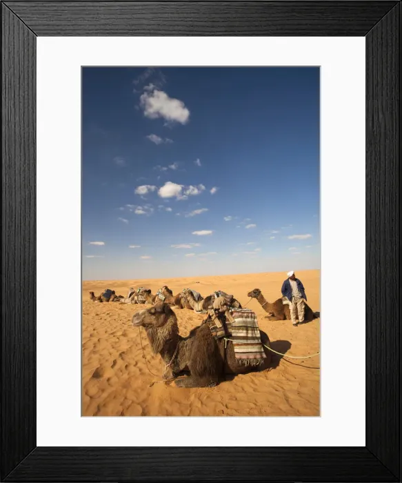 Framed Print : DDE-90022849 Framed Print : DDE-90022849