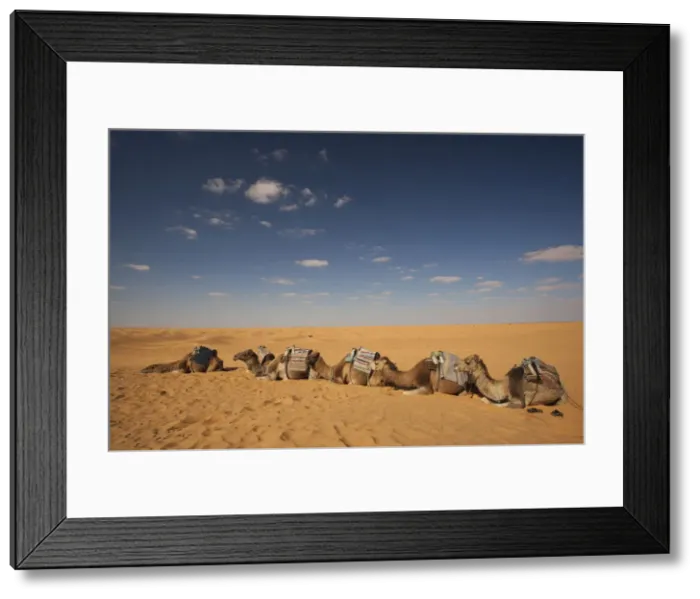 Framed Print : DDE-90022850 Framed Print : DDE-90022850