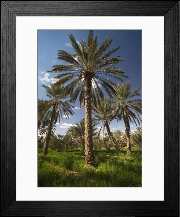 Framed Print : DDE-90022847 Framed Print : DDE-90022847