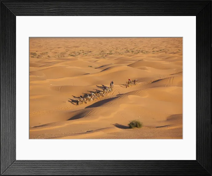 Framed Print : DDE-90022853 Framed Print : DDE-90022853