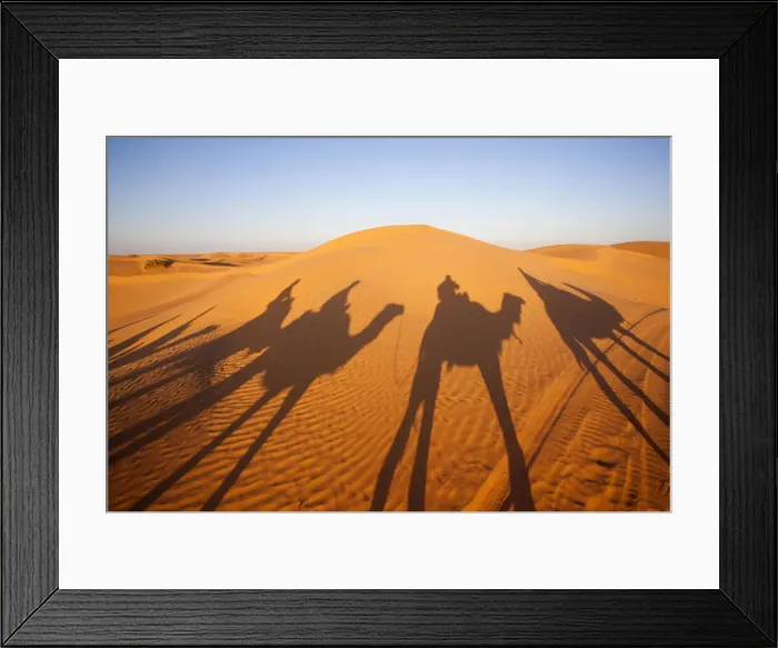 Framed Print : DDE-90022855 Framed Print : DDE-90022855
