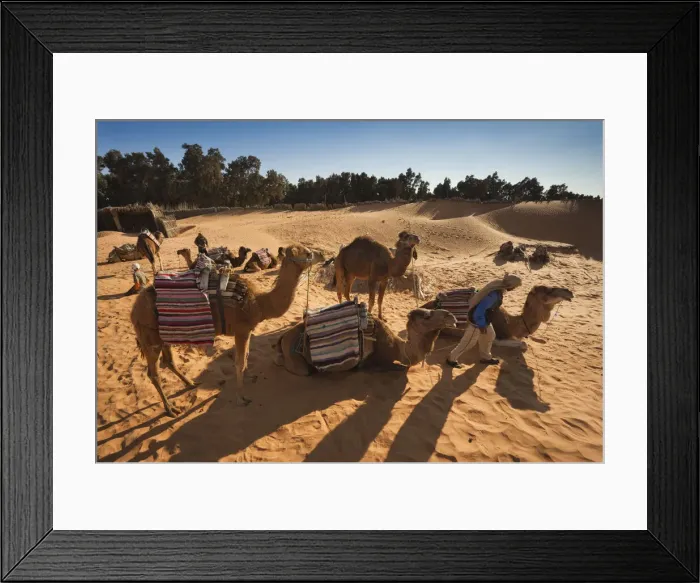 Framed Print : DDE-90022851 Framed Print : DDE-90022851