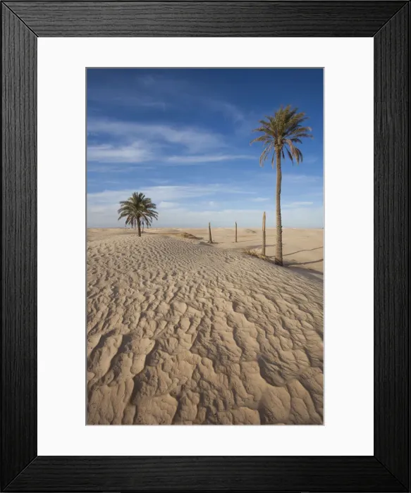 Framed Print : DDE-90022865 Framed Print : DDE-90022865